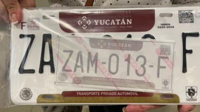 Yucatán logra 93% de trámites digitales en reemplacamiento con IA y pagos flexibles