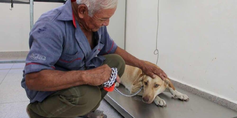 Controlarán población de animales ferales con expansión del programa CEL en Mérida