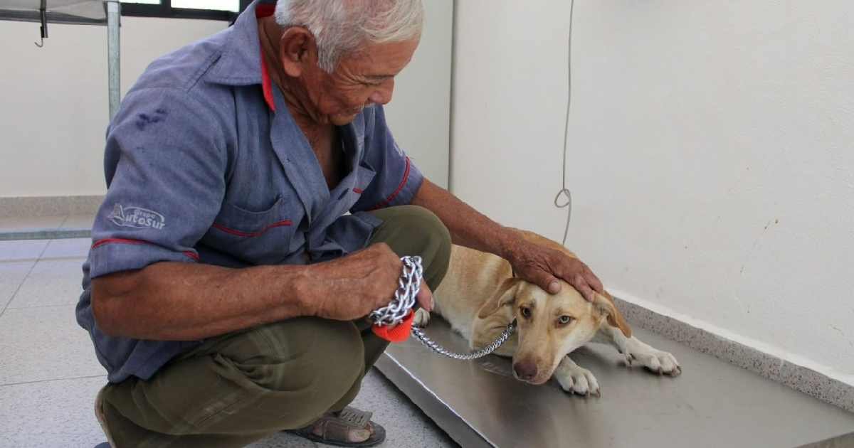 Controlarán población de animales ferales con expansión del programa CEL en Mérida