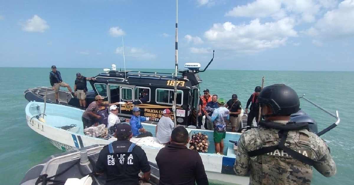 SSP y Marina aseguran lanchas por pesca furtiva en Celestún, Yucatán