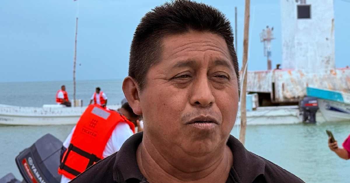 Con arrecifes artificiales en Celestún, Yucatán, logran repoblamiento marino