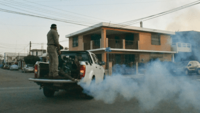 Fumigación Merida