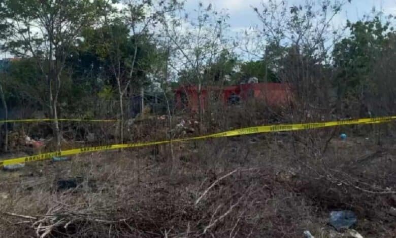 Hallan granada inactiva en terreno baldío de Progreso, Yucatán