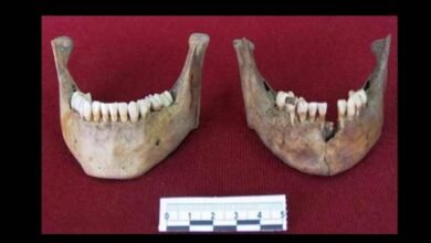 INAH Yucatán indaga origen de niños sacrificados hace más de mil años en Chichén Itzá.