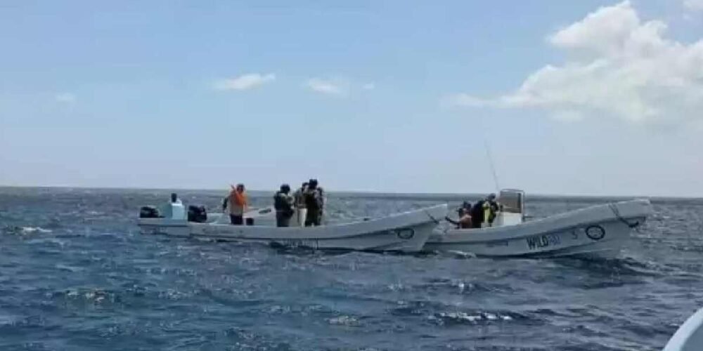 Detienen a pescadores por captura ilegal de especies en San Felipe, Yucatán
