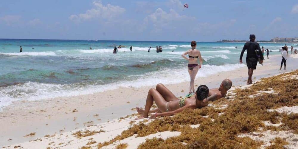 Llegaría sargazo a playas de Yucatán antes del verano; afectaría al turismo y la economía local