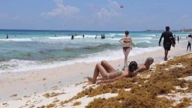 Llegaría sargazo a playas de Yucatán antes del verano; afectaría al turismo y la economía local
