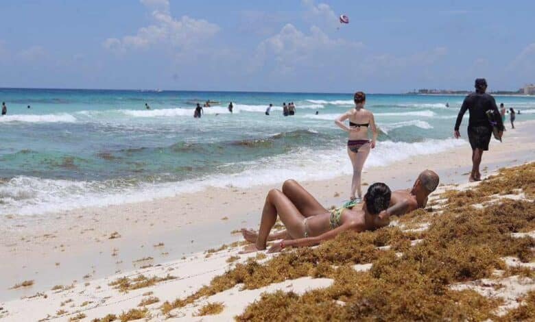 Llegaría sargazo a playas de Yucatán antes del verano; afectaría al turismo y la economía local