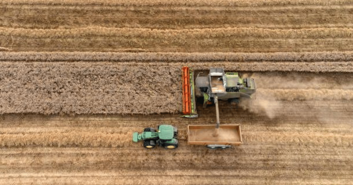 aumenta 1.8 % la actividad económica de yucatán en el primer trimestre de 2025 inegi