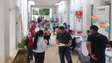 ayuntamiento de mérida ha logrado colocar a más de 1,100 personas en empleos