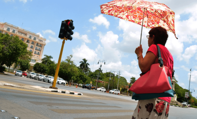 clima en yucatán hasta 40 grados de calor