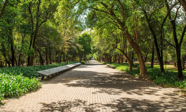 El Bosque de Chapultepec, el pulmón histórico, cultural y ecológico de la Ciudad de México