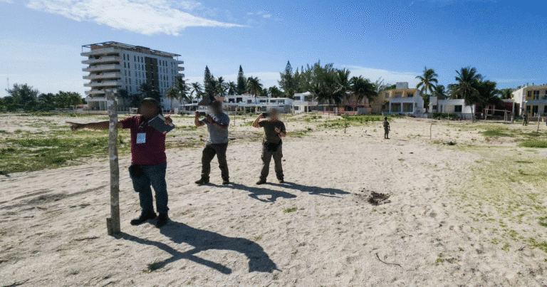 fgr y profepa detectan nuevo desmonte ilegal en sisal; van 37 mil metros cuadrados devastados