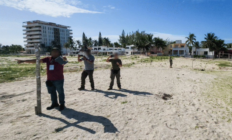 fgr y profepa detectan nuevo desmonte ilegal en sisal; van 37 mil metros cuadrados devastados