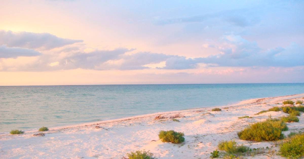 Disfruta de tus vacaciones en estas playas secretas de Yucatán (Foto de internet)
