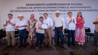 Impulsan rescate del henequén en Bokobá con 3.8 mdp