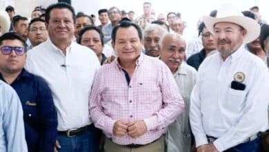 Ante gusano barrenador, buscan proteger estatus sanitario del ganado en Yucatán