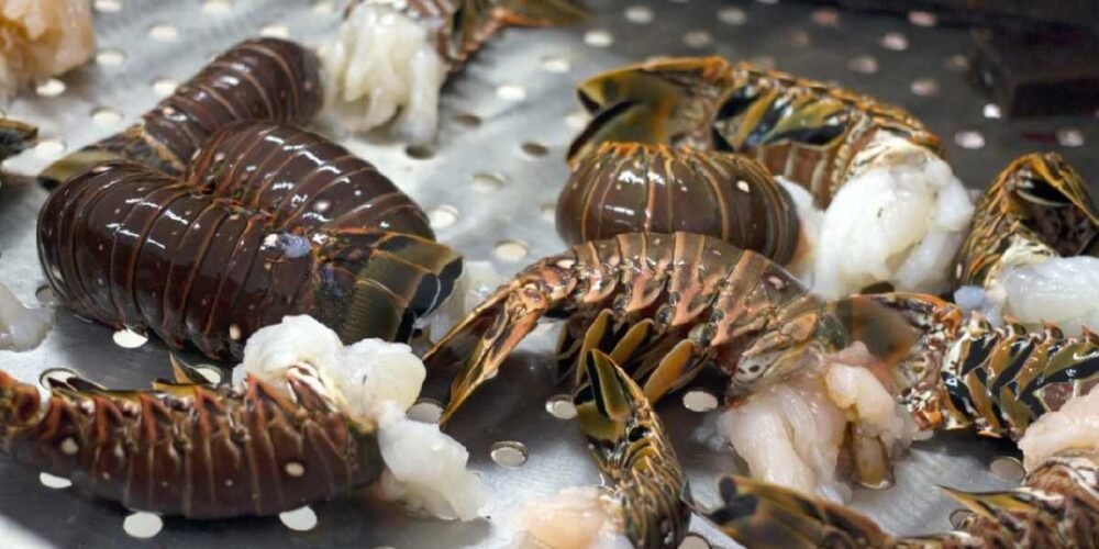 Conoce los desafíos de una de las principales fuentes de ingresos para los pescadores