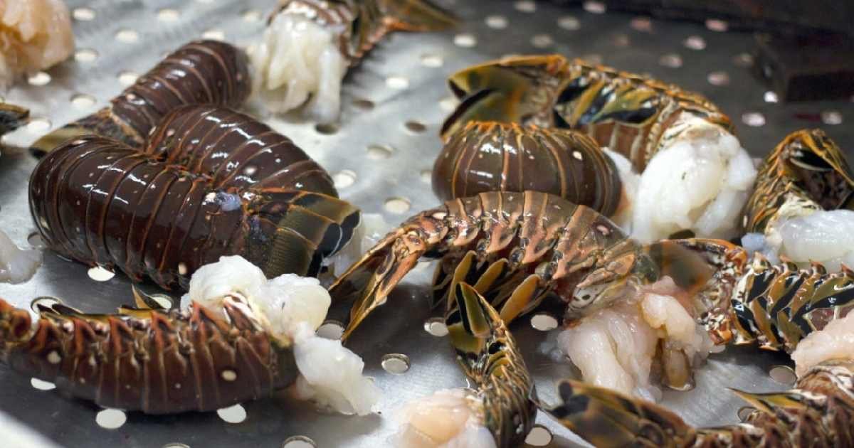 Conoce los desafíos de una de las principales fuentes de ingresos para los pescadores