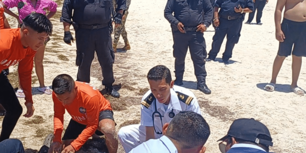 le salvan la vida a adulto mayor que se ahogaba en progreso, yucatán