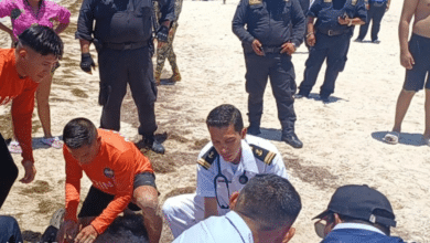 le salvan la vida a adulto mayor que se ahogaba en progreso, yucatán