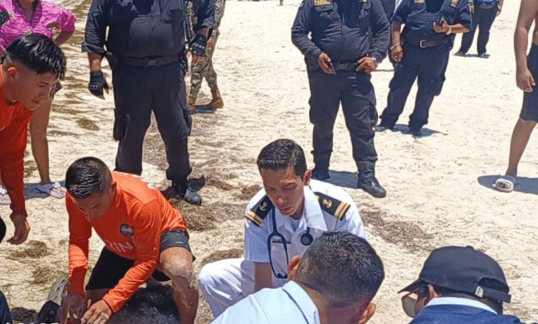 le salvan la vida a adulto mayor que se ahogaba en progreso, yucatán