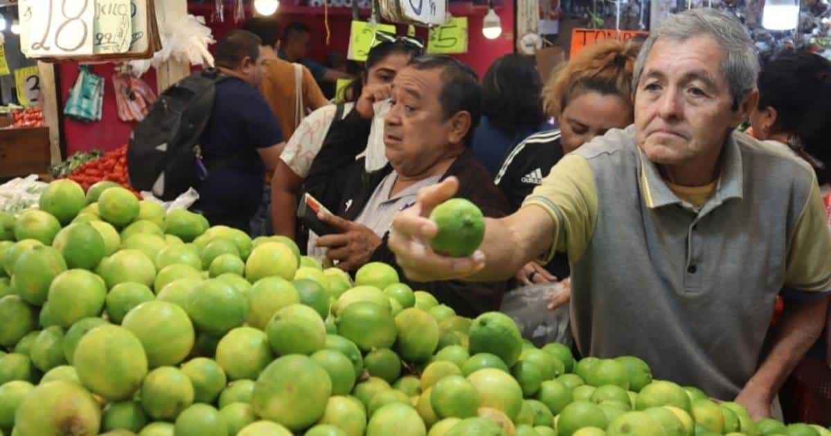 Yucatán podría ser potencia exportadora de cítricos a Medio Oriente y Asia
