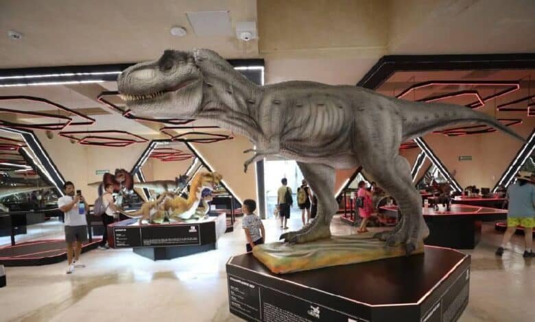 Museo del Meteorito tendrá entrada gratuita a cambio de un producto de despensa