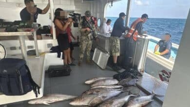 Yucatán: Retienen yate en Arrecife Alacranes por pesca ilícita