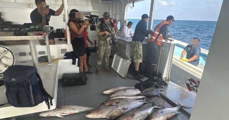 Yucatán: Retienen yate en Arrecife Alacranes por pesca ilícita