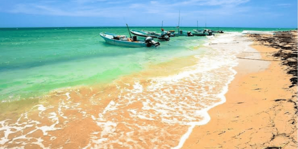 Las playas de Yucatán son de las favoritas para vacacionistas nacionales e internacionales, sobre todo porque actualmente ofrecen un verano limpio y sin tanto sargazo