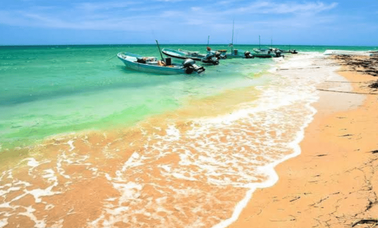 Las playas de Yucatán son de las favoritas para vacacionistas nacionales e internacionales, sobre todo porque actualmente ofrecen un verano limpio y sin tanto sargazo