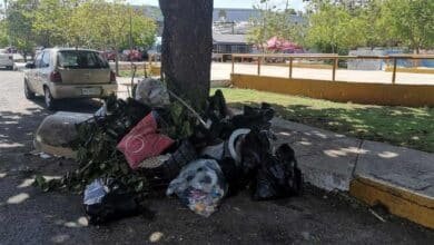 La Policía Ecológica de Mérida implementará multas de hasta 500 UMA por tirar basura