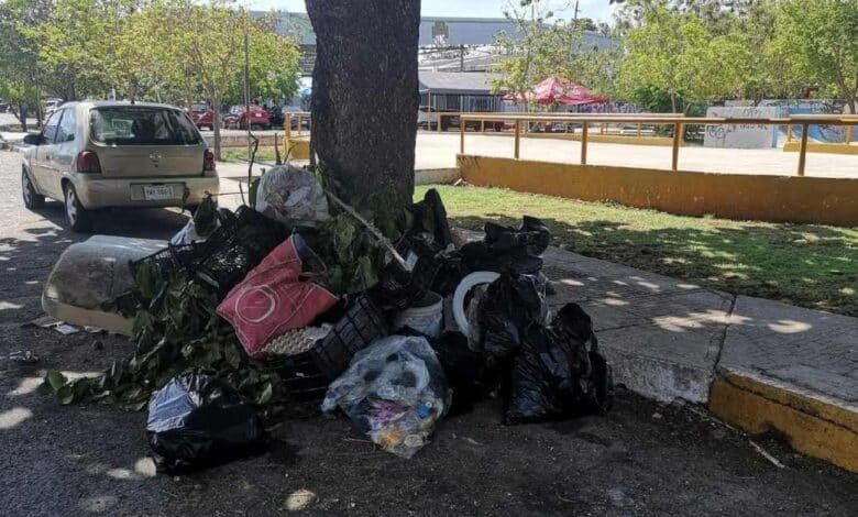 La Policía Ecológica de Mérida implementará multas de hasta 500 UMA por tirar basura