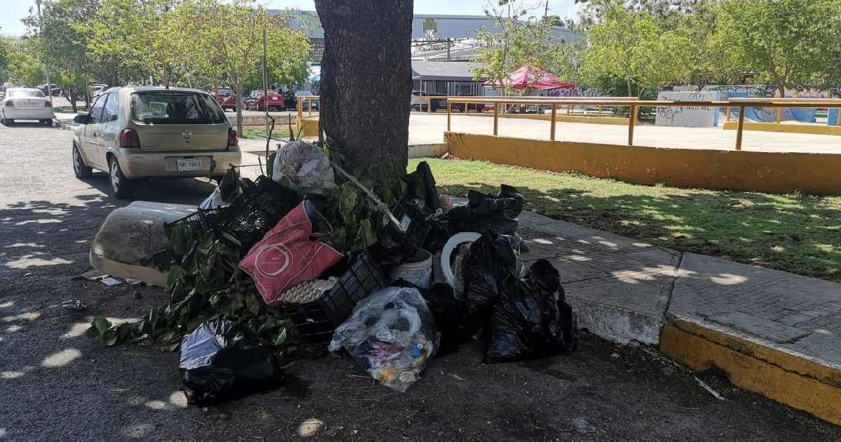 La Policía Ecológica de Mérida implementará multas de hasta 500 UMA por tirar basura