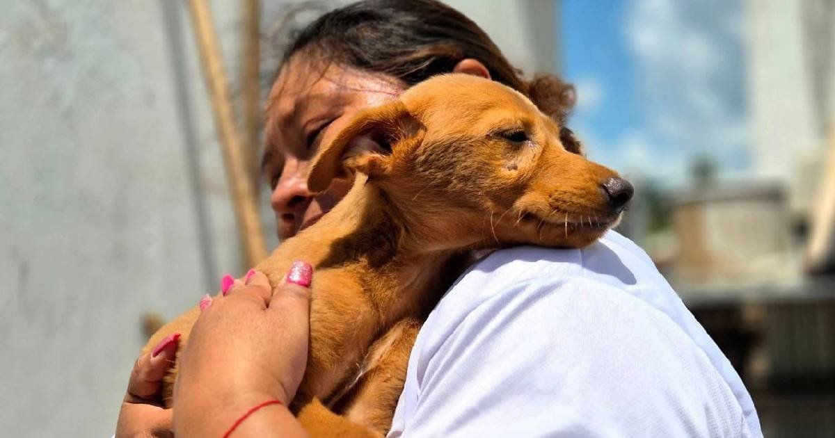 Erik Rihani impulsa más acciones por el bienestar animal en Progreso
