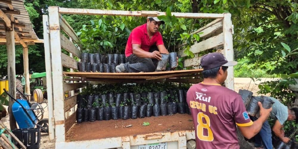 Yucatán promueve inversión japonesa con proyecto Renacimiento Maya