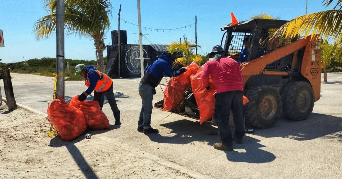 resultados y mejora en servicios públicos para progreso erik rihani