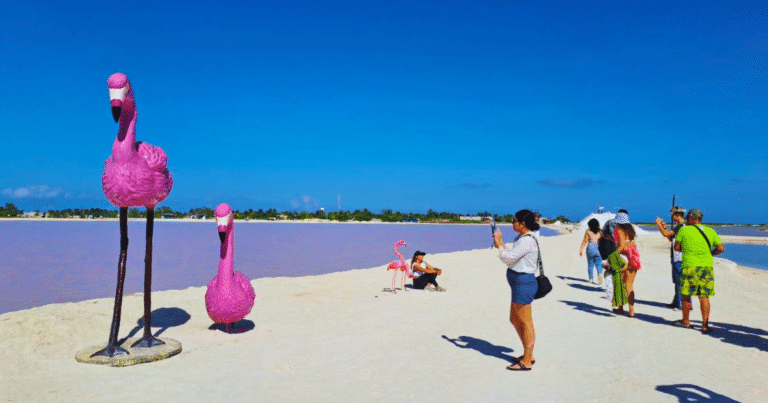río lagartos, las coloradas y san felipe, los tres lugares que ofrecen experiencias únicas en sus reservas