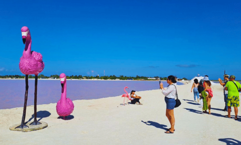 río lagartos, las coloradas y san felipe, los tres lugares que ofrecen experiencias únicas en sus reservas