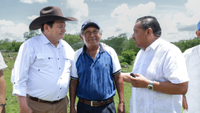río lagartos refuerza su vocación turística