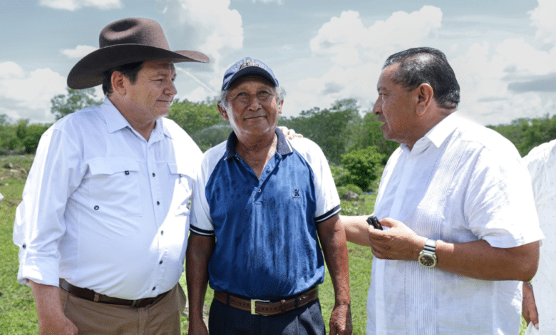 río lagartos refuerza su vocación turística