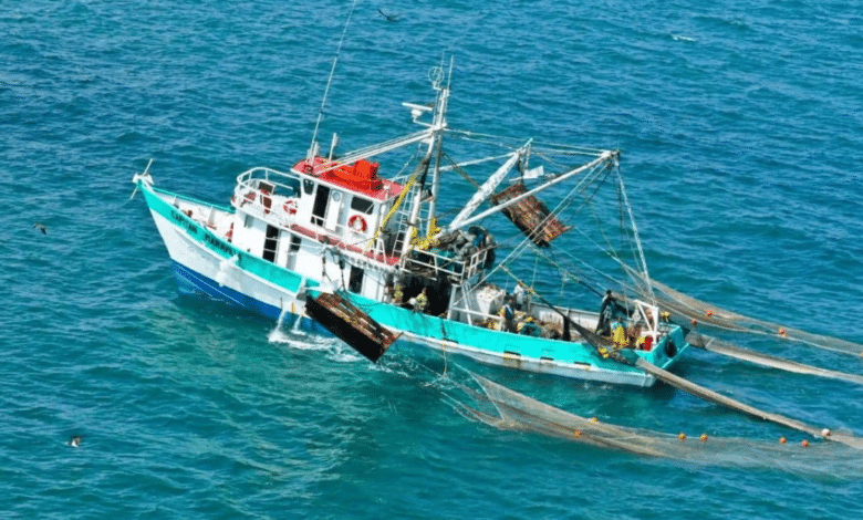 sepasy retira a 200 pescadores de padrones de apoyo por pesca furtiva en yucatán