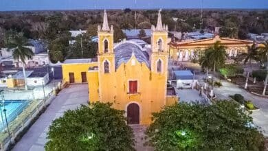 Seyé tendrá feria segura y cultural este verano