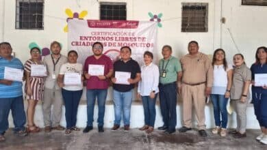 ticul certifica edificios libres de criaderos de mosquitos y se suma al combate contra el dengue
