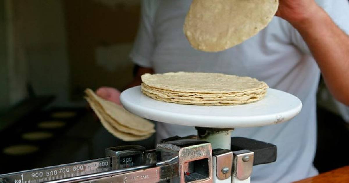 Gobierno convoca a tortillerías a unirse a acuerdo para bajar precios (Foto de internet)