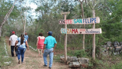 turismo sustentable en yucatán recupera fuerza en 2025