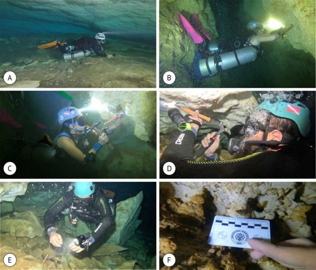 unam descubren fósil de nueva especie de pez erizo en cenotes de yucatán 1