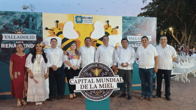 valladolid, 17 años como capital mundial de la miel
