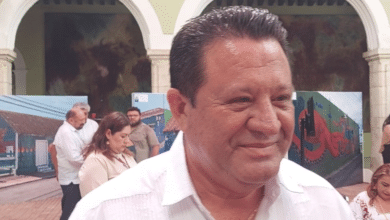 yucatán combate plaga de gusano por ingreso ilegal de ganado